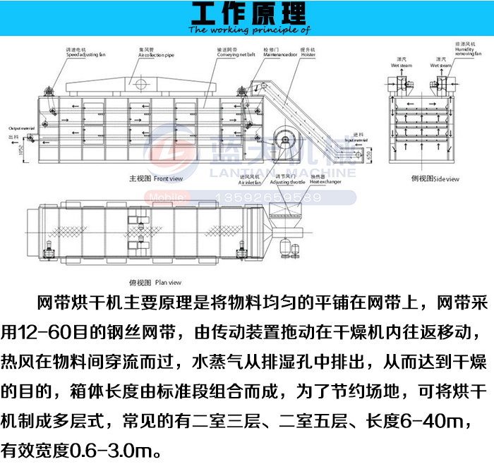 三層網(wǎng)帶式烘干機(jī)工作原理